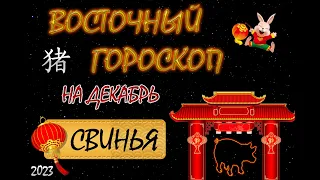 СВИНЬЯ в декабре 2023 года / Восточный гороскоп / 2023