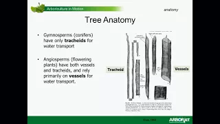 Trees, Biology, and Associates - Roots to Shoots