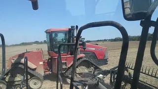 MONSTERS Harvesting soybeans with 2 LEXION 740s