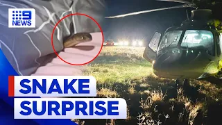 Queensland woman airlifted after being bitten by deadly snake in bed | 9 News Australia