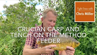 Crucian carp and tench on the method feeder