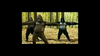 🐼Gorilla_Dancing || Bare_Bare_ft.|| HD_Video_720p🐼||