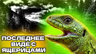 Я ОТПУСТИЛ ЯЩЕРИЦ?! ПОСЛЕДНИЙ РОЛИК С ПРЫТКИМИ ЯЩЕРИЦАМИ! #ящерица, #животные