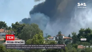 Новини світу: у передмісті Афін горять ліси, вогонь впритул наблизився до людей