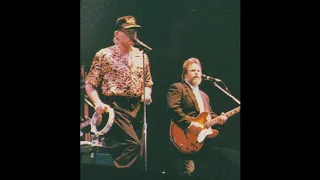 The Beach Boys 30th Anniversary 1991 in London　　Fun, Fun, Fun