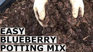 Easy Blueberry Potting Mix Recipe Without Expensive Shipped In Ingredients