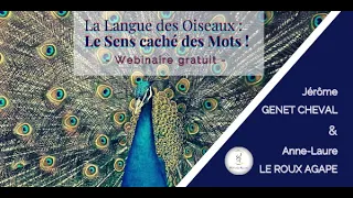 La Langue des Oiseaux : le sens caché des mots !