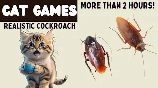 Cat Games - Cockroach for Cats [2.5 HOURS] - Best Game for Cats
