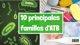 LES PRINCIPALES FAMILLES DES ANTIBIOTIQUES EN 4 MIN