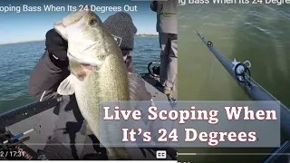 Live Scoping Bass When Its 24 Degrees Out