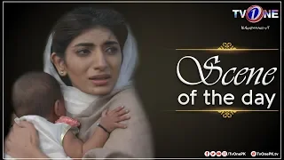 Scene of the Day | Ro Raha Hai Dil | Junaid Khan - Sonia Mishal