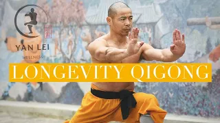 Longevity Qigong