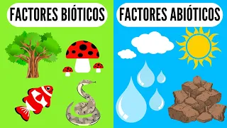 🐠 BIOTIC AND ABIOTIC FACTORS 🐍 What are they? In the environment or ecosystems for children, biology