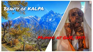 Spiti Valley Final Days 5-6 GUE [Tenzin Mummy], KALPA, KINNAUR (Kaza to back to shimla) 4K|UHD