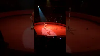 Золотой цирк России в Бишкеке
