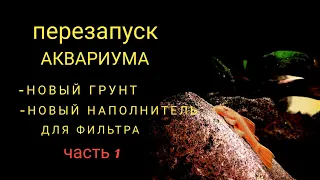 Перезапуск аквариума часть 1