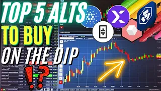 Top 5 Altcoins to Buy During The Crypto Dip | Part 2