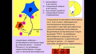 Дубынин В. А. - Химия мозга - Глицин. Гистамин. Аденозин