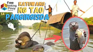 Grabe! PWEDE PALA MAKATUWANG ANG MGA HAYOP SA PANGINGISDA | Amazing Animal-Human Interaction