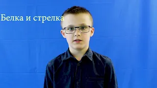 Белка и стрелка 2