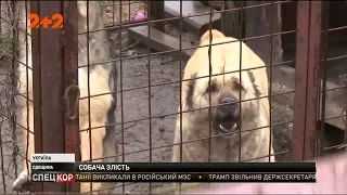 На Одещині лікарі борються за життя пенсіонерки, на яку накинулись три пси