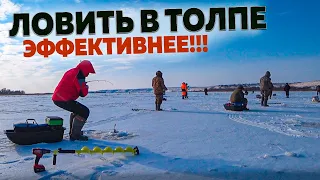 ТОЛПА МЕШКУЕТ СУДАКА! Рыбалка на Дону! Ловля судака! Рыбалка с эхолотом практик 6м