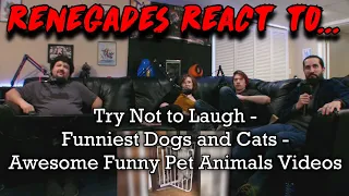 Renegades React to... Try Not to Laugh - 🤣 Funniest 🐶 Dogs 😻 Cats - Awesome Funny Pet Animals Videos