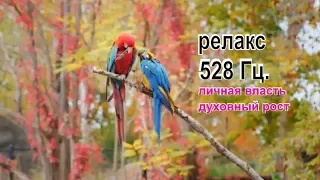 Сосредоточение, исцеление,  релаксация.Музыка 528 Гц