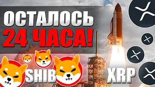 SHIBA - ВОТ ПОЧЕМУ ИГРА СТАНОВИТСЯ ОПАСНЕЕ! Шиба Ину ВАЖНЫЕ новости 2022, Shiba Inu!