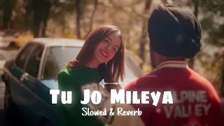 JUSS - Tu Jo Mileya (Slowed & Reverb) MixSingh | New Punjabi Romantic Song 2024