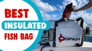 Best Insulated Fish Bag in 2021 – Preserve Your Fish Nicely!