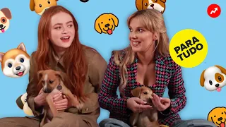 O elenco de Stranger Things brinca com cachorrinhos e responde perguntas