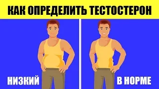 Вот Как Узнать Уровень Тестостерона Без Анализов