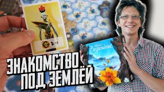 проект «Возрождение» / экспериментальное знакомство с игрой!