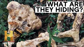 The Proof Is Out There: Top 4 CREEPIEST Creature Hoaxes