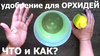 какие ОРХИДЕИ удобряю, чем и как, первый результат