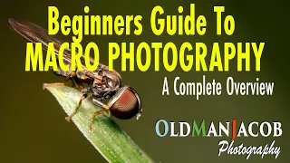 Beginner Macro Photography - Complete How To!