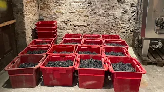 Aidez-nous à livrer les vins de La Têtue en vélo cargo!