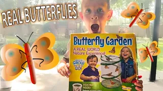 BUTTERFLY GARDEN for KIDS by Insect Lore!!