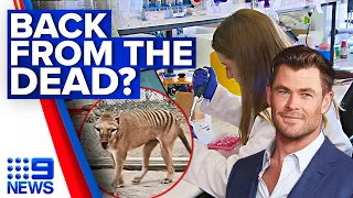 Scientists plan to resurrect Aussie animal that's been extinct since 1936 | 9 News Australia