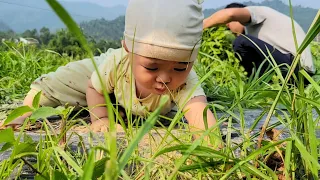 Harvesting pumpkin tops to sell, single father | Nông Thôn