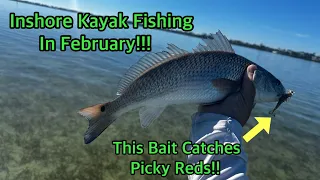 Inshore Fishing | Kayak Fishing | Boca Grande FL