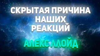 Скрытая причина наших реакций. Алекс Ллойд