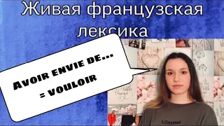 AVOIR ENVIE DE... = VOULOIR | французская лексика | французский по полочкам