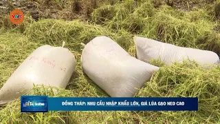 ĐỒNG THÁP: NHU CẦU NHẬP KHẨU LỚN, GIÁ LÚA GẠO NEO CAO | VTV5