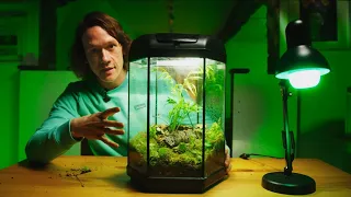 Make A Terrarium From An Aquarium!