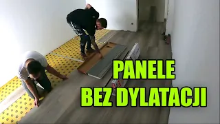 Panele bez dylatacji w całym domu. Jak ułożyć panele winylowe bez łączeń w progach pod drzwiami.