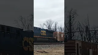 #CSX #Tropicana #Juice #Train at S#aint D#enis #Maryland #shorts #trainspotting  #train   #YouTube