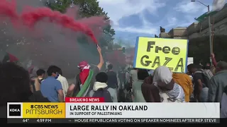 "Day of Action for Palestine" rally held in Pittsburgh