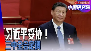 三中全会定调：习近平向民企妥协，深化改革、党的控制；民营资本与党派｜中国研究院（王军涛，李伟东，冯胜平，黄兆平）